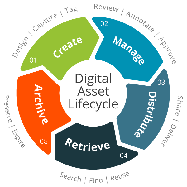 Digital-asset-lifecycle.png