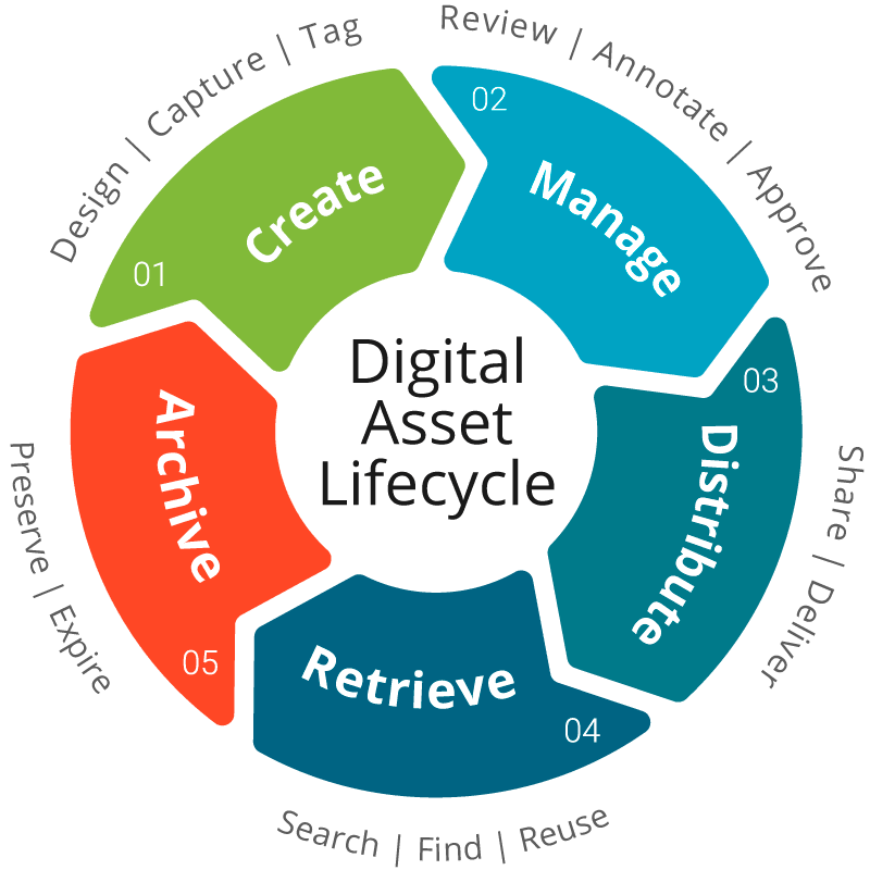 digital-asset-lifecycle.png